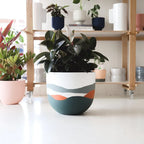 Bloom Planter (Set of 4)