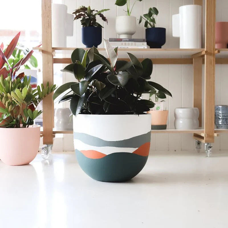 Bloom Planter (Set of 4)