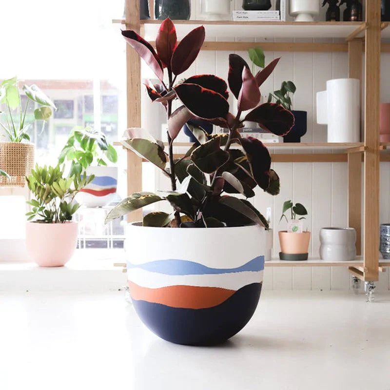 Bloom Planter (Set of 4)